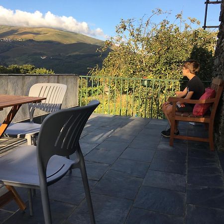 Palheiro Do Vale Do Paiva Villa Cabril  ภายนอก รูปภาพ