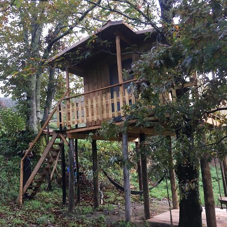 Palheiro Do Vale Do Paiva Villa Cabril  ภายนอก รูปภาพ